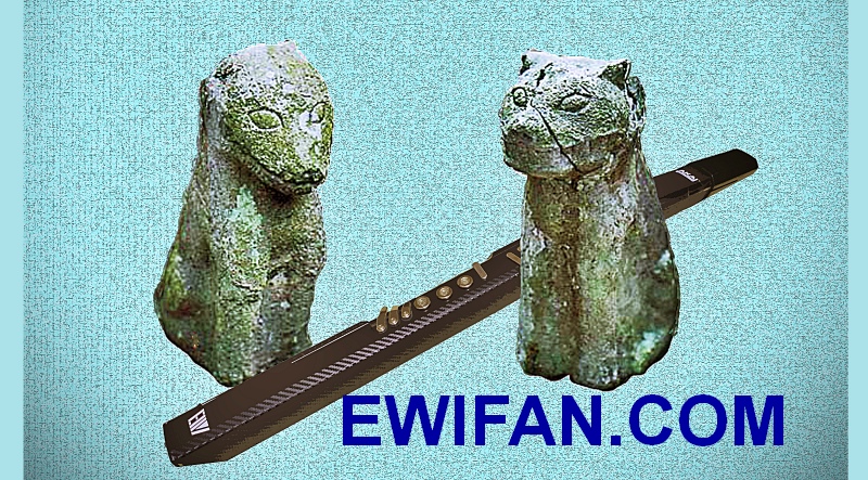 EWIFAN.COM